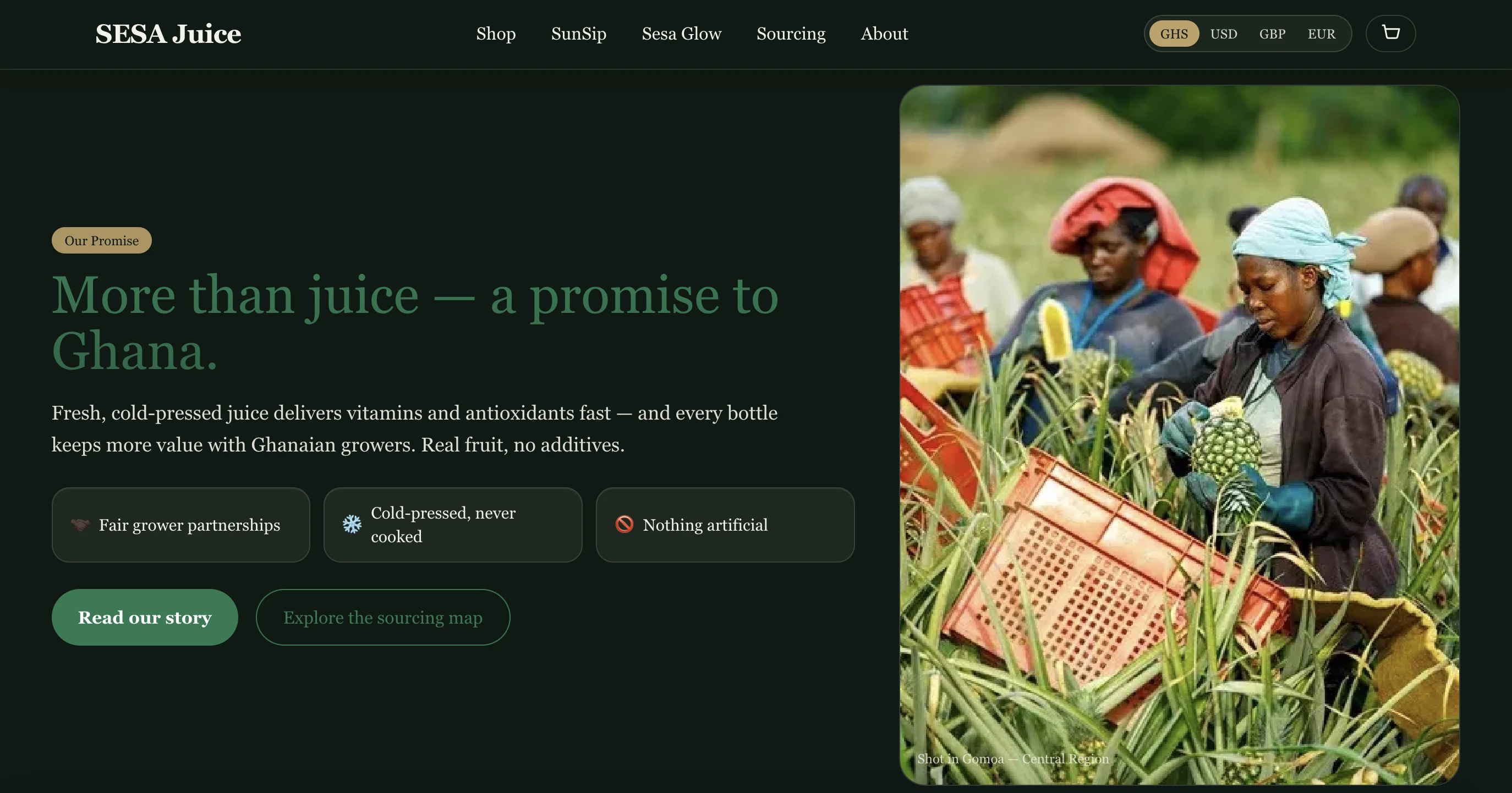 SEESA Juice — Brand, Packaging & E-Commerce